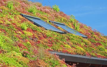 Whettleton living roof systems