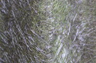 Whettleton fibreglass roof work